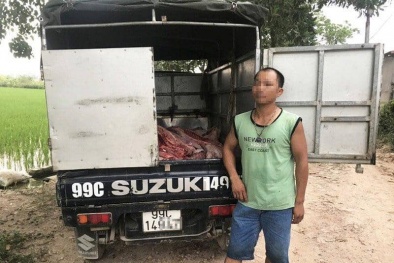 Thu giữ gần 1 tấn thịt lợn chết đã chuyển màu và bốc mùi hôi thối